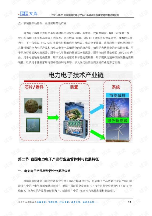 2021-2025年中国电力电子产品行业调研及品牌营销战略研究报告