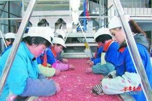 电子产品筛选厂 销售策略与市场前景